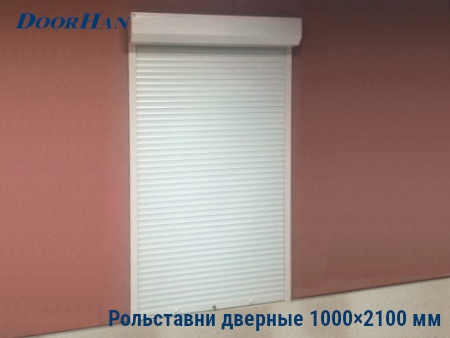 Рольставни на двери 1000×2100 мм в Красноярске от 32966 руб.
