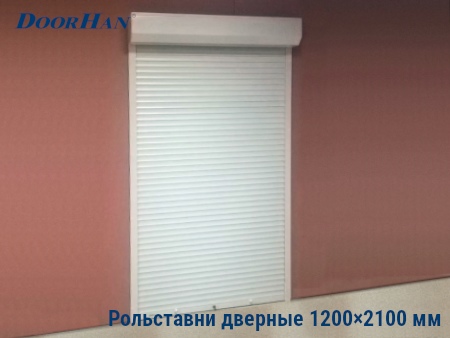 Рольставни на двери 1200×2100 мм в Красноярске от 36313 руб.