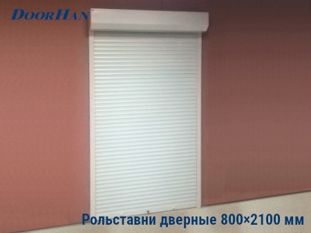 Рольставни на двери 800×2100 мм в Красноярске от 29619 руб.